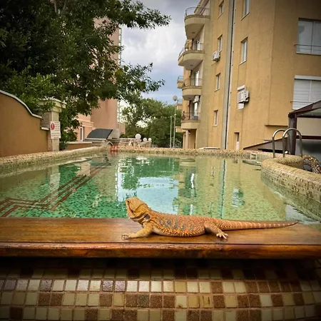 Affittacamere юг Primorsko